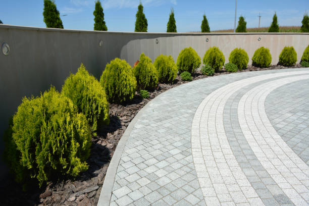 Best Decorative Driveway Pavers  in River Edge, NJ